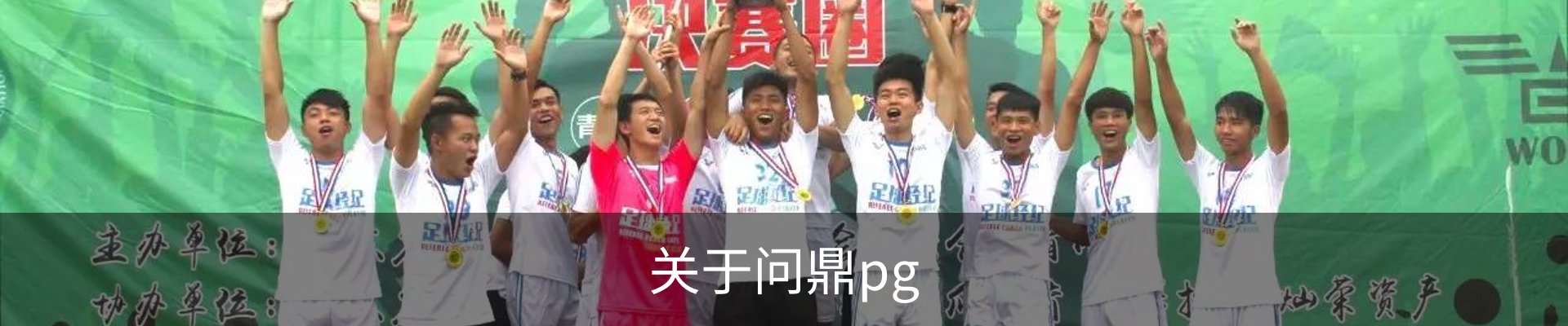 关于问鼎pg